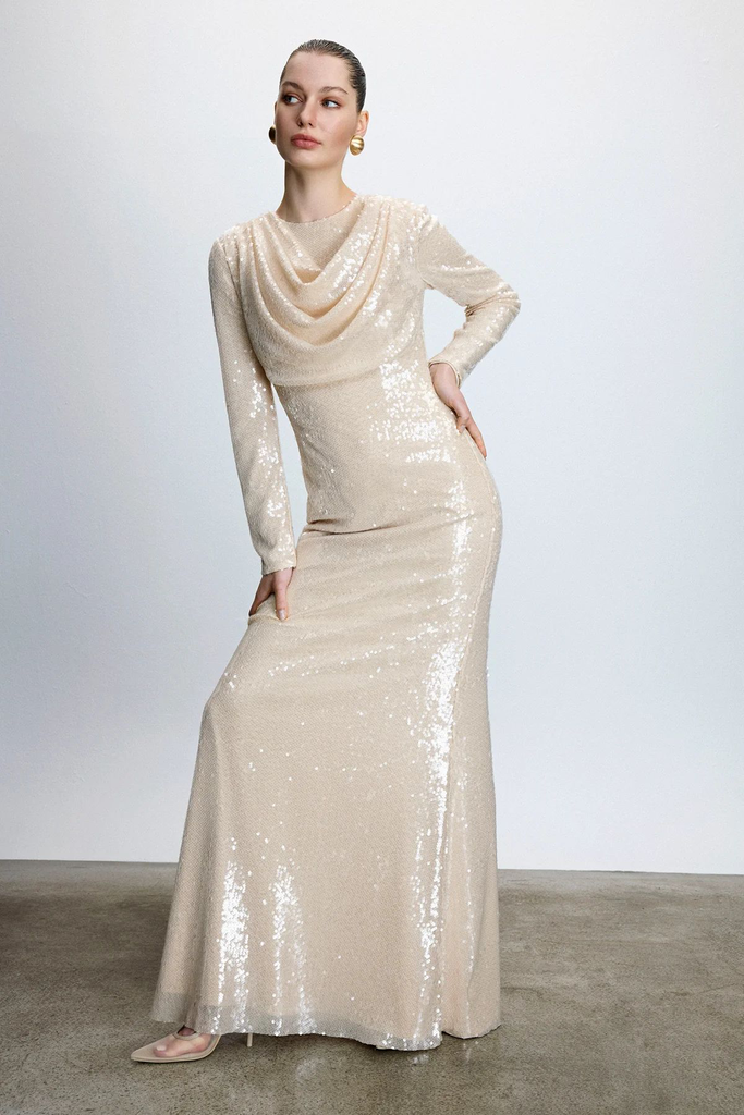 Ladies dress